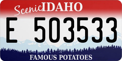 ID license plate E503533