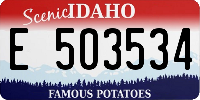 ID license plate E503534