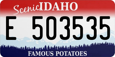 ID license plate E503535