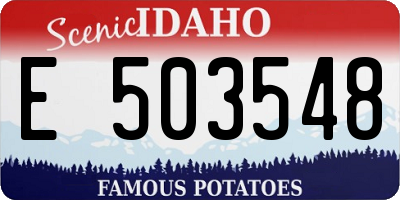 ID license plate E503548