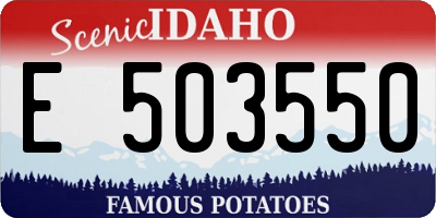 ID license plate E503550