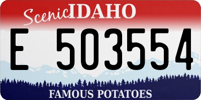 ID license plate E503554