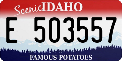 ID license plate E503557