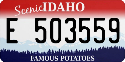 ID license plate E503559