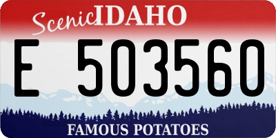 ID license plate E503560