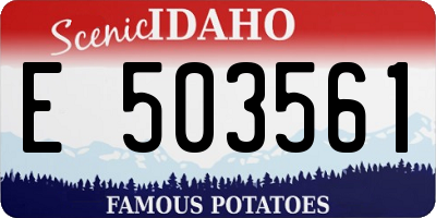 ID license plate E503561