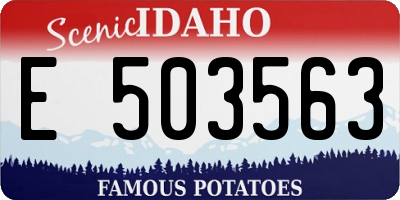 ID license plate E503563