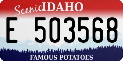 ID license plate E503568