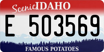 ID license plate E503569