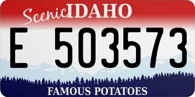 ID license plate E503573