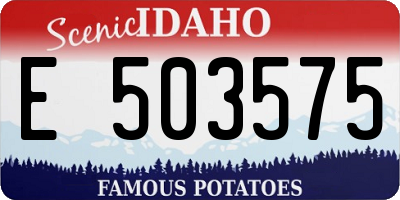 ID license plate E503575