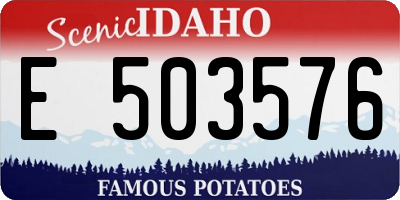ID license plate E503576