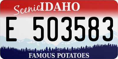 ID license plate E503583