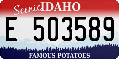 ID license plate E503589