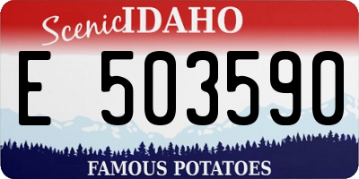 ID license plate E503590