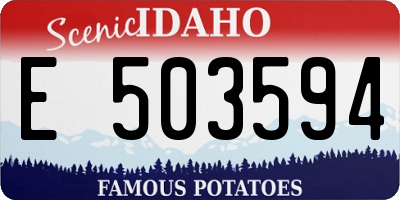 ID license plate E503594
