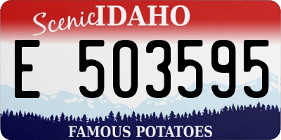 ID license plate E503595