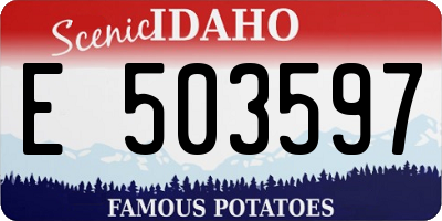ID license plate E503597