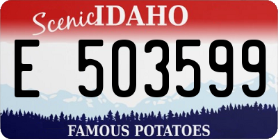 ID license plate E503599