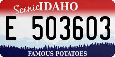 ID license plate E503603