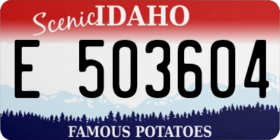 ID license plate E503604