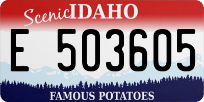ID license plate E503605