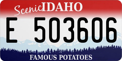 ID license plate E503606