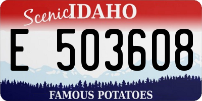 ID license plate E503608
