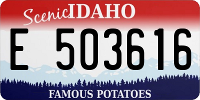 ID license plate E503616