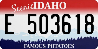 ID license plate E503618