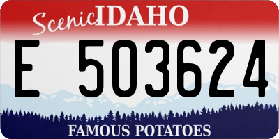 ID license plate E503624
