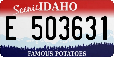 ID license plate E503631