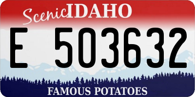 ID license plate E503632