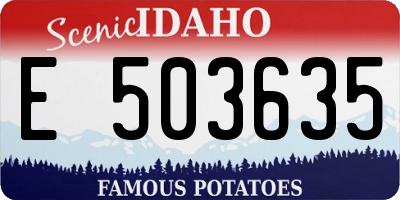 ID license plate E503635