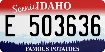 ID license plate E503636