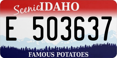 ID license plate E503637