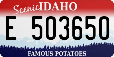 ID license plate E503650