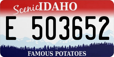 ID license plate E503652