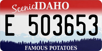 ID license plate E503653