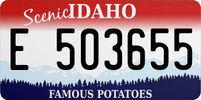 ID license plate E503655