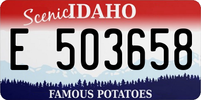 ID license plate E503658