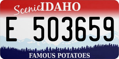 ID license plate E503659