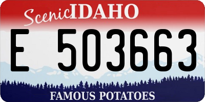 ID license plate E503663