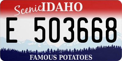 ID license plate E503668