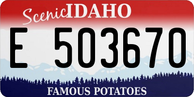 ID license plate E503670