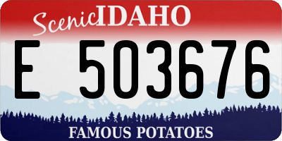 ID license plate E503676