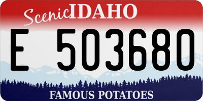 ID license plate E503680