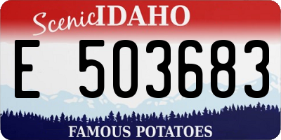 ID license plate E503683