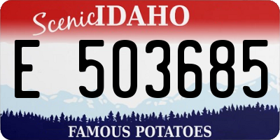 ID license plate E503685