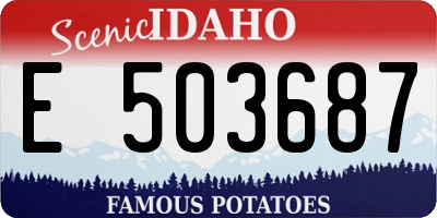 ID license plate E503687